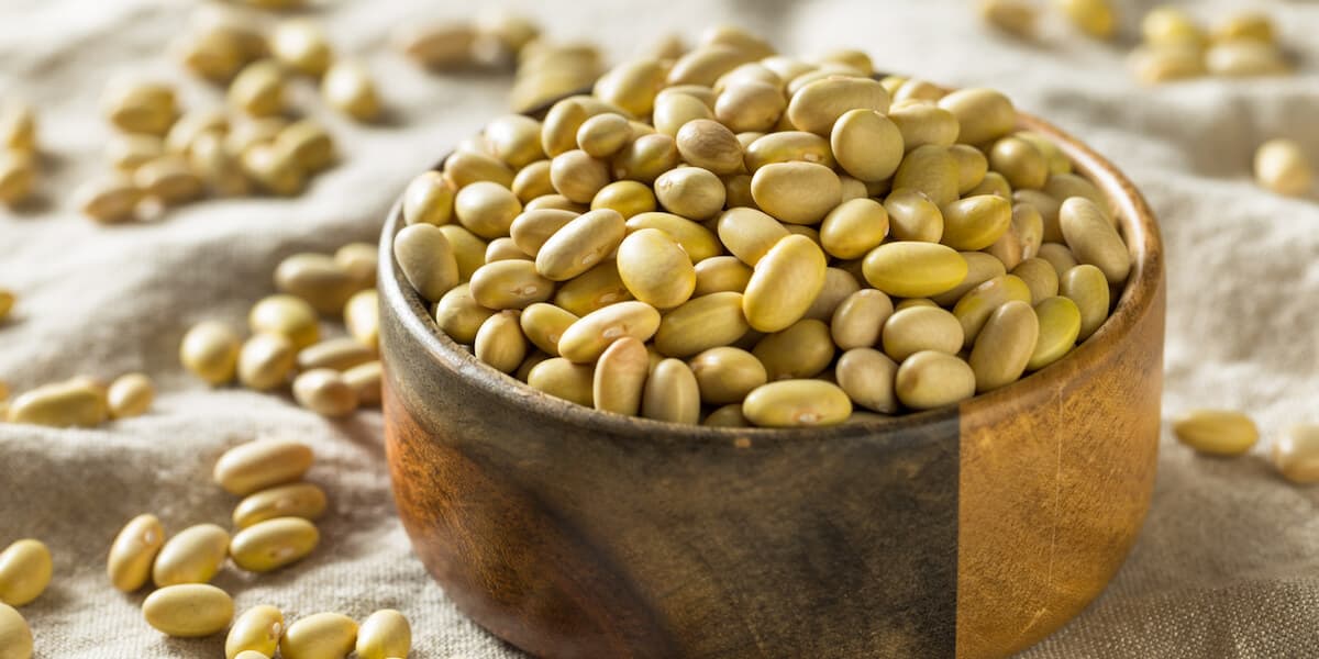 Dry Organic Yellow Mayocoba Beans