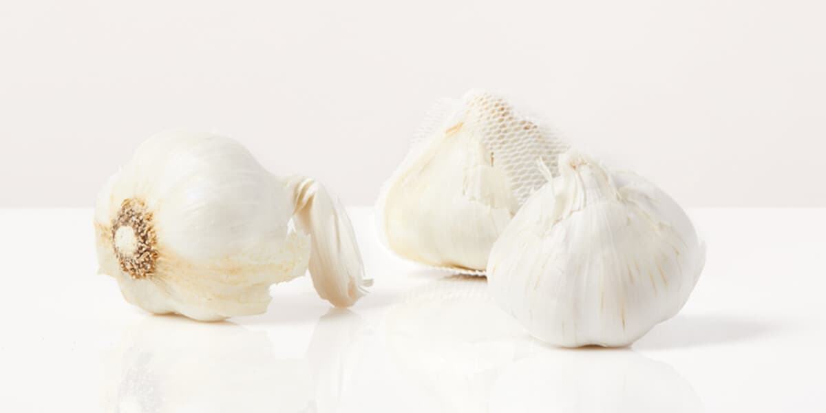 Garlic