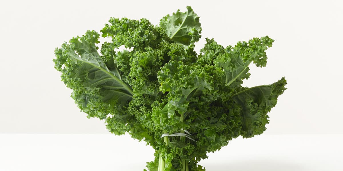 Kale