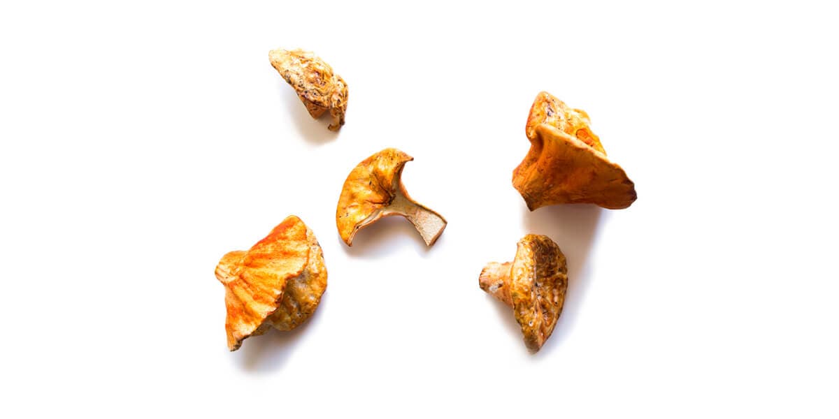 Lobster Mushroom