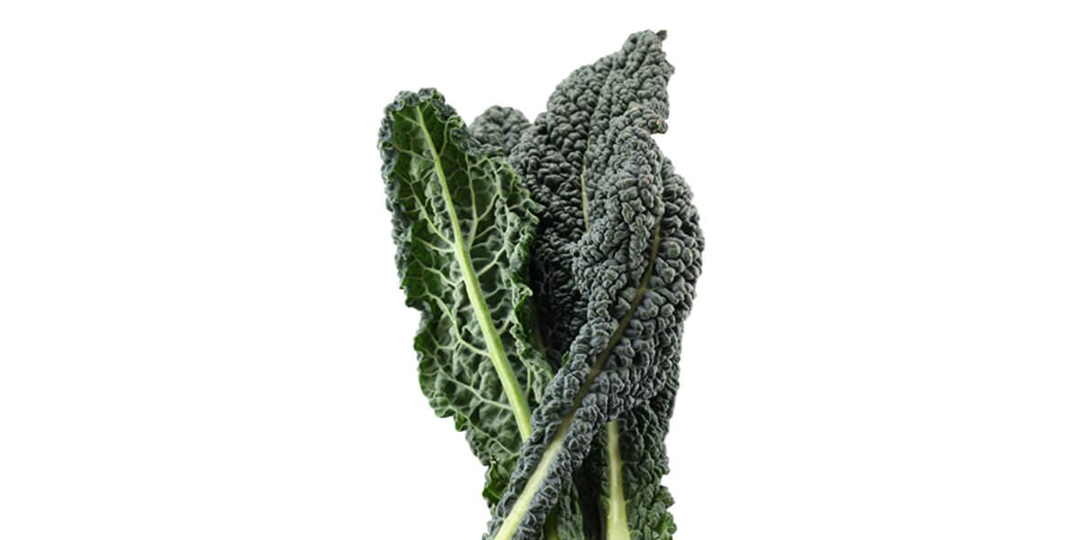 Lacinto Kale