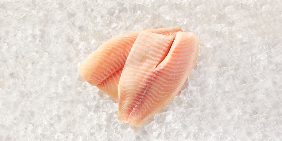 Tilapia