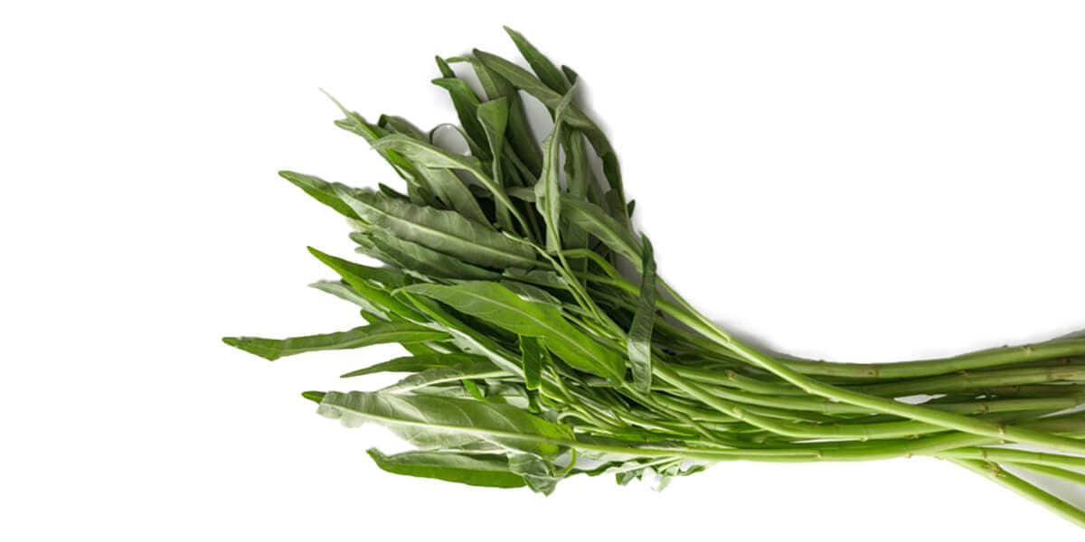 Water Spinach