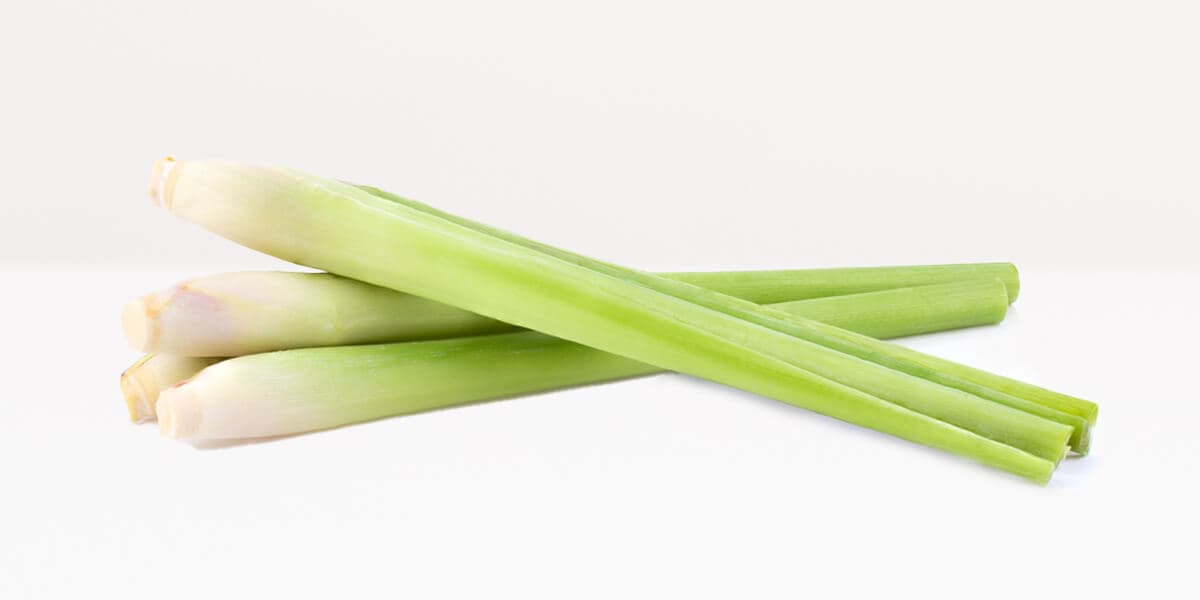 Lemongrass