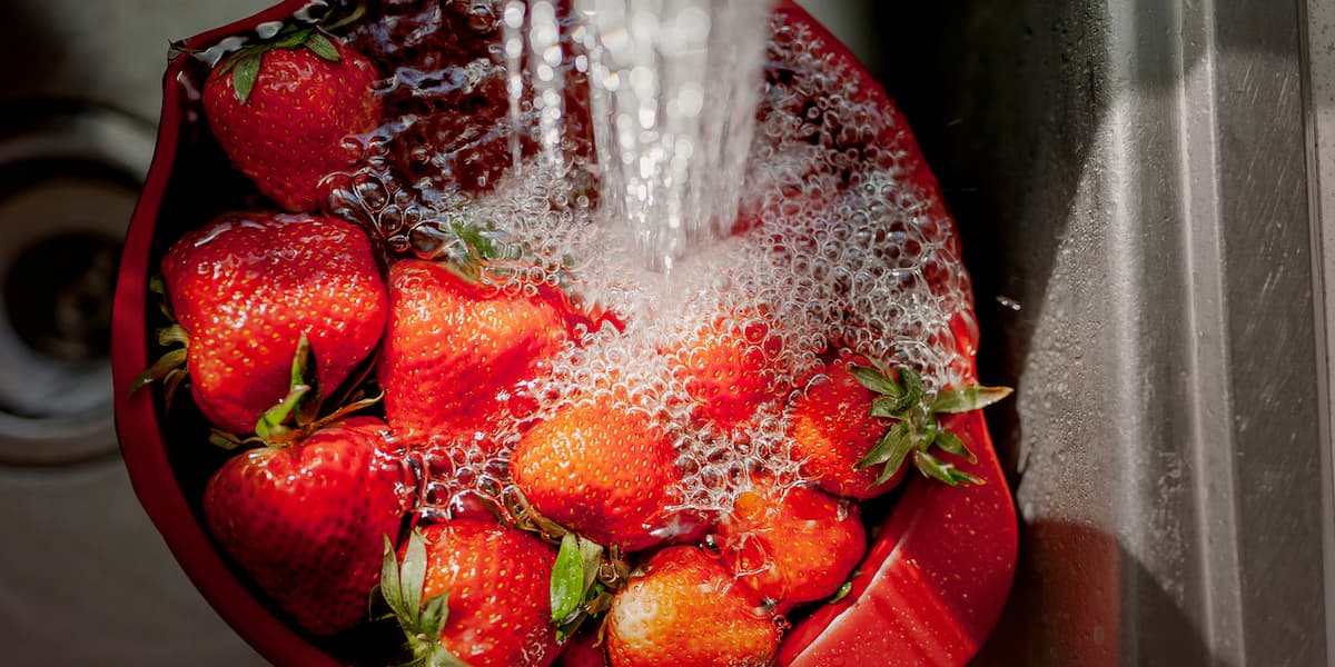 Bowl of Strawberries